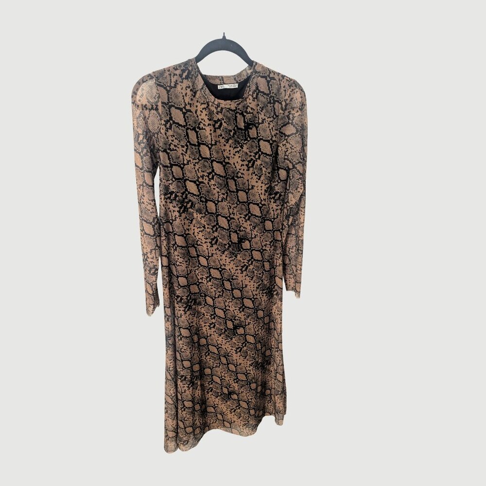 Zara Long Sleeve Mesh Maxi Dress